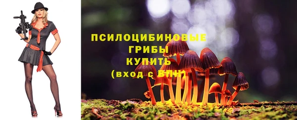 ПСИЛОЦИБИНОВЫЕ ГРИБЫ Баксан