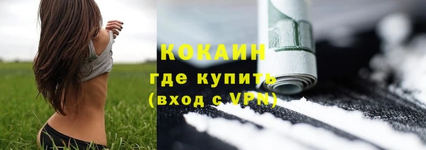 гашик Аркадак