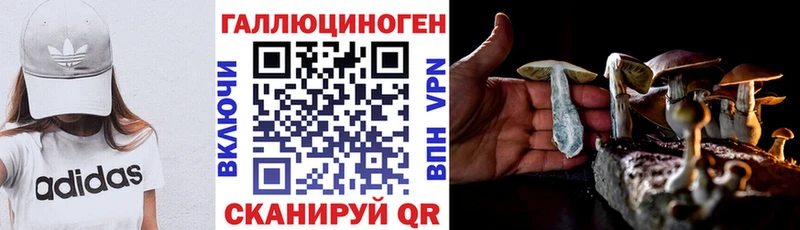 Псилоцибиновые грибы GOLDEN TEACHER  Злынка 